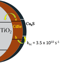 Charge Transfer Mediation Through CuxS. The Hole Story of CdSe in Polysulfide